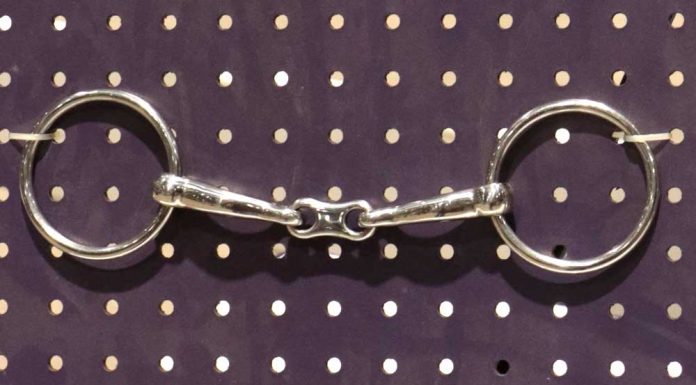 Loose Ring Dr. Bristol Snaffle Bit