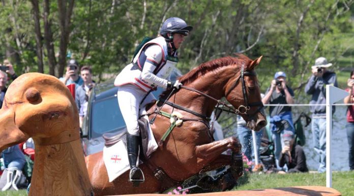 Piggy French (GBR) and Quarrycrest Echo