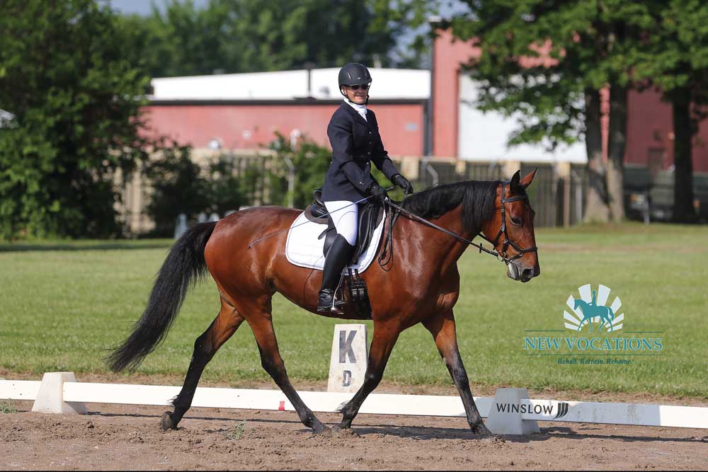 Standardbred competing in dressage