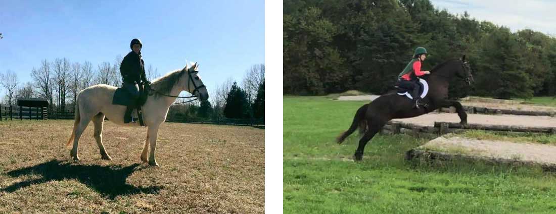 Adoptable horses Skye and Jane