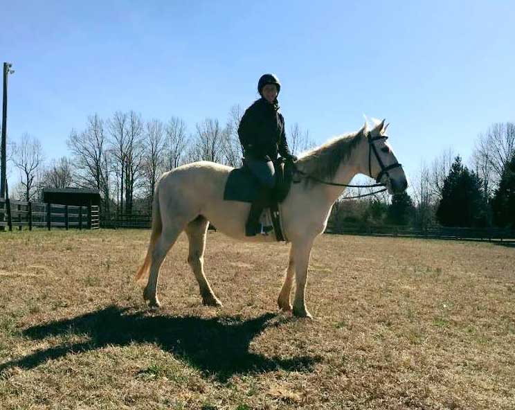 Skye, a Quarter Horse cross available for adoption at Heart of Phoenix