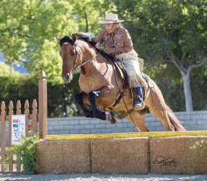 Working Equitation Explained