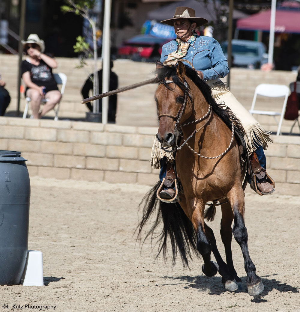 Horse and rider competing in Working Equitation