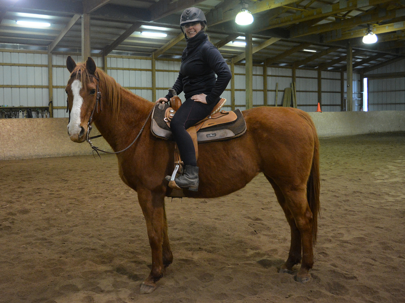 Fern, an adoptable Quarter Horse mare located in Colorado