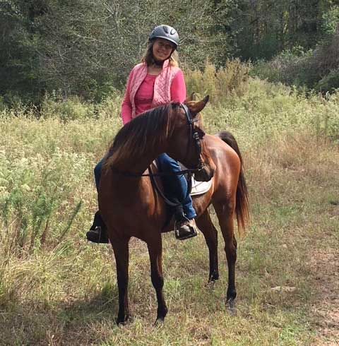 Merlot, an adoptable Arabian mare located in College Station, Texas