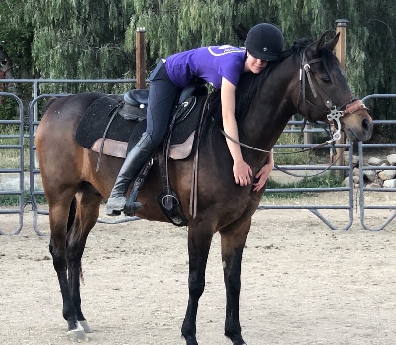 Viqtor, an adoptable Arabian gelding located in Acton, California.