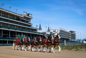 Featured Video: Budweiser Clydesdales at the Kentucky Derby
