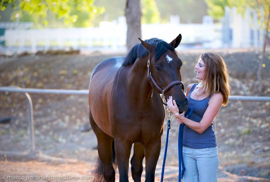 Woman standing with a bay horse