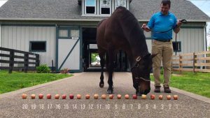 Past Kentucky Derby Winners Predict 2019 Derby Outcome