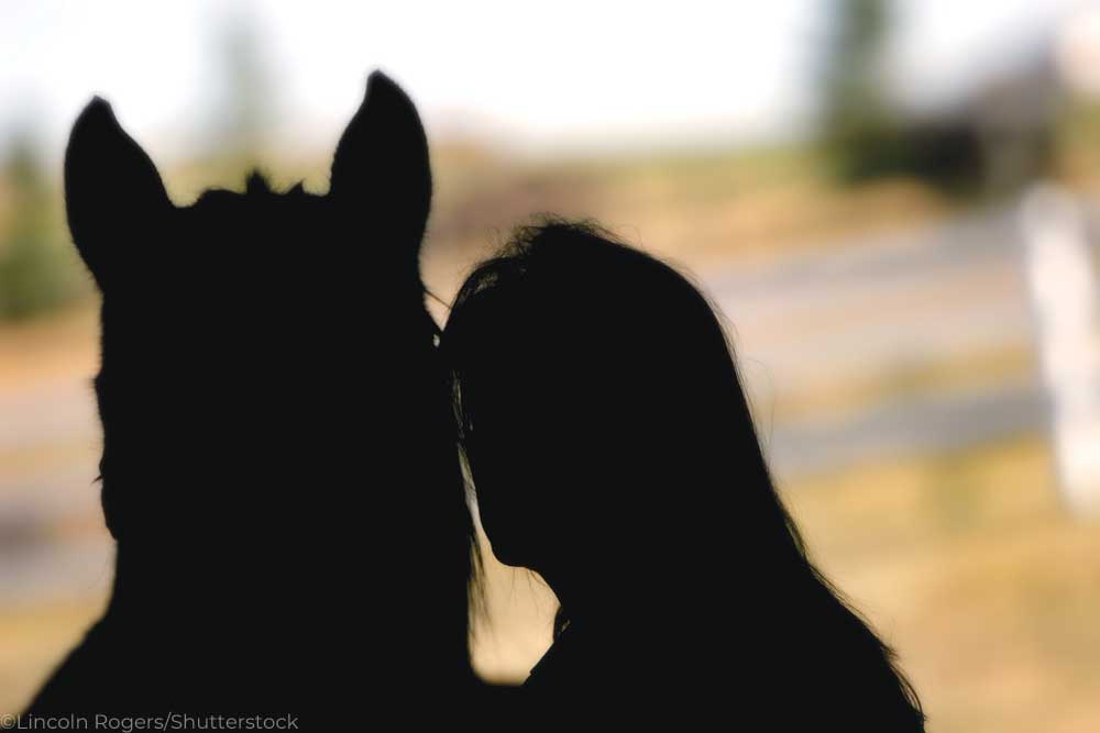 Silhouette of a woman and a horse