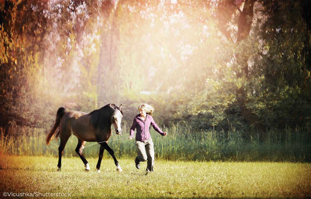 Woman working with a horse at liberty