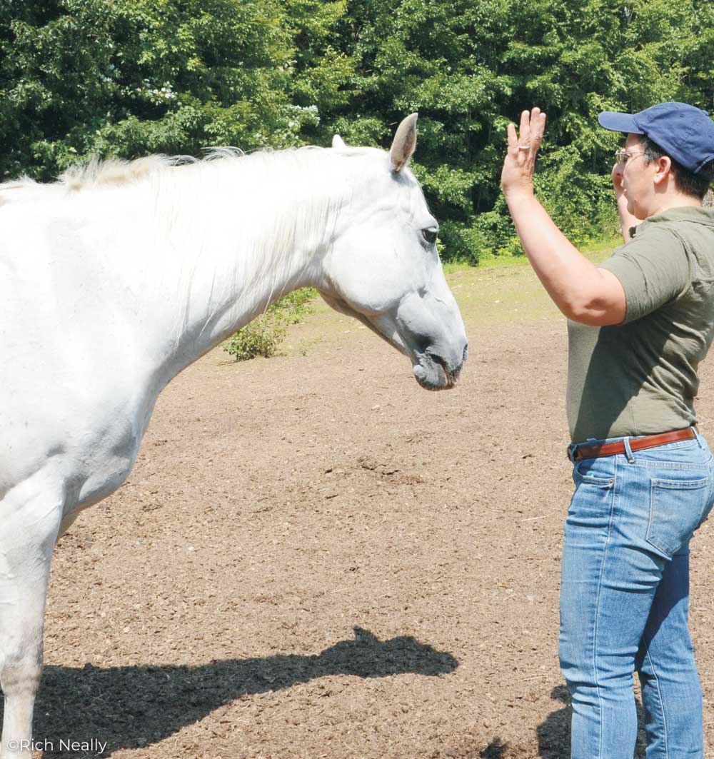 Trainer Sharon Wilsie demonstrating an "X" posture