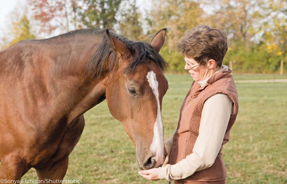 Woman and horse