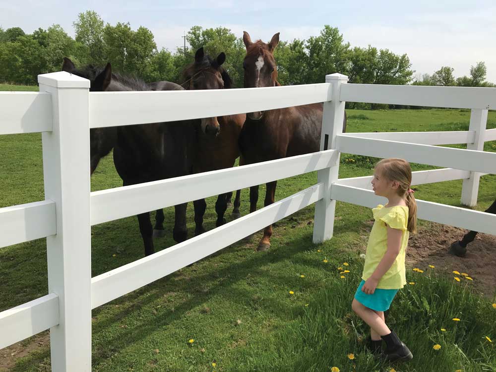 The author's daughter at the barn