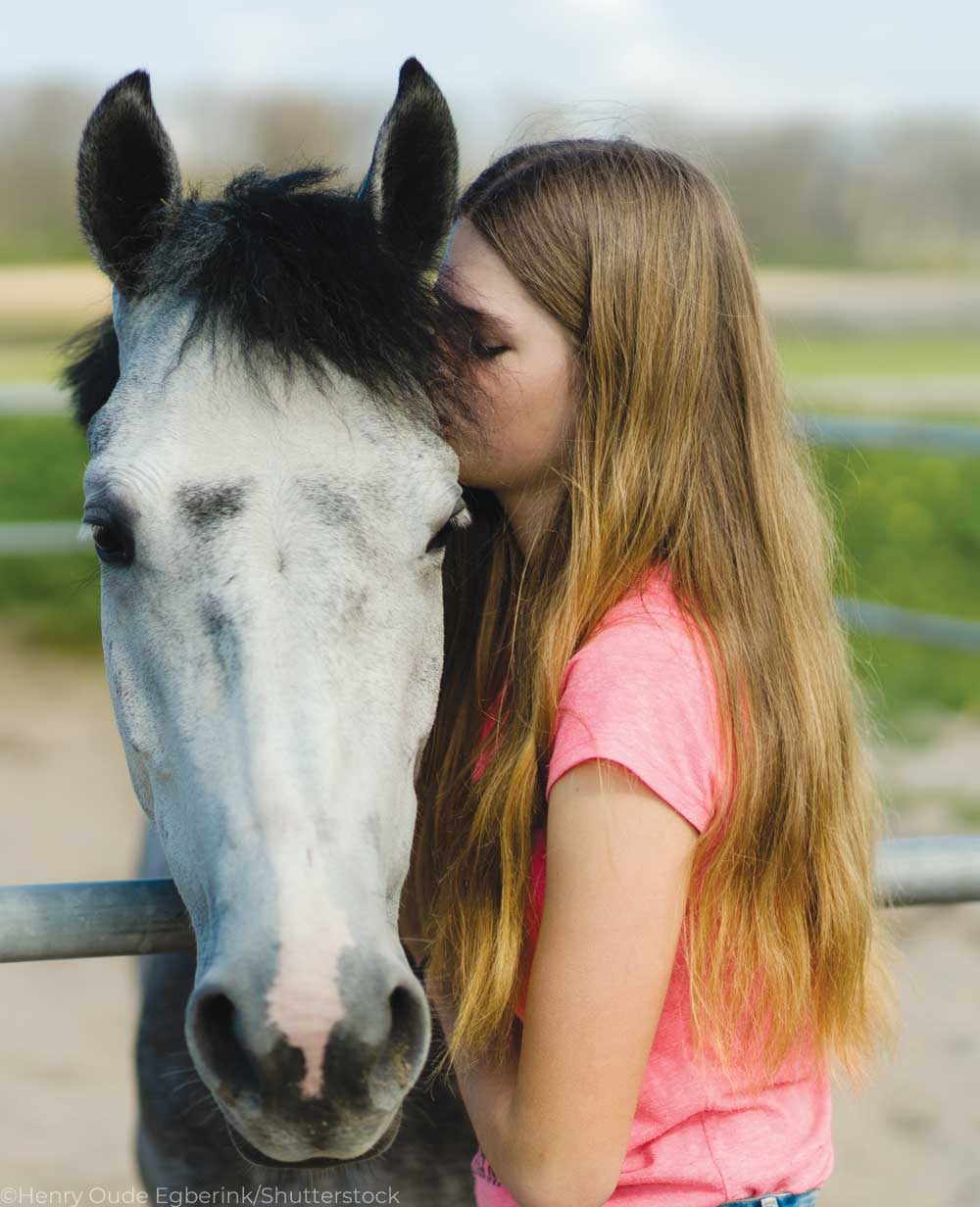 Prince Charming horse