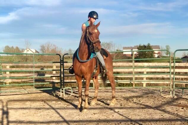 Bebe under saddle