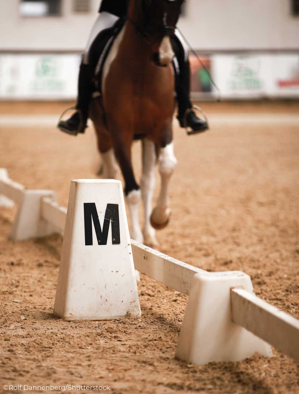 Dressage arena letter M