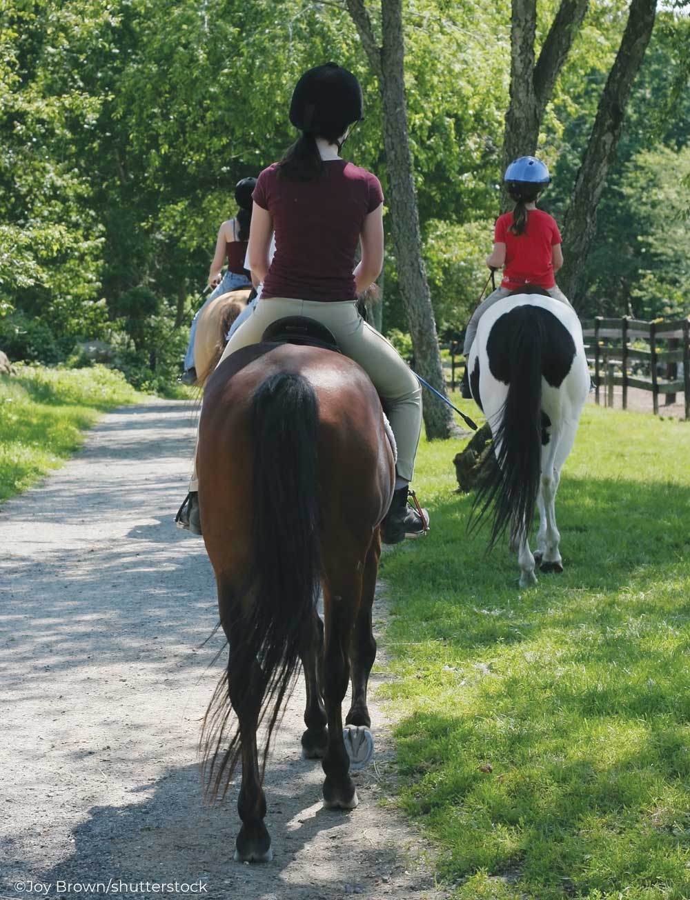 Three English riders riding down a path