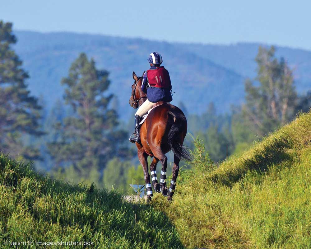 Eventing horse and rider