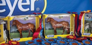 Model horses and championship ribbons at a model horse show