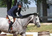 10 Ways to Make Horse Shows Fun Rider patting a horse after a round at a horse show.