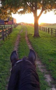 Summer Solstice Sunset Ride (one day early)