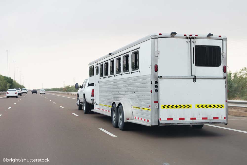 Truck and horse trailer on the highway