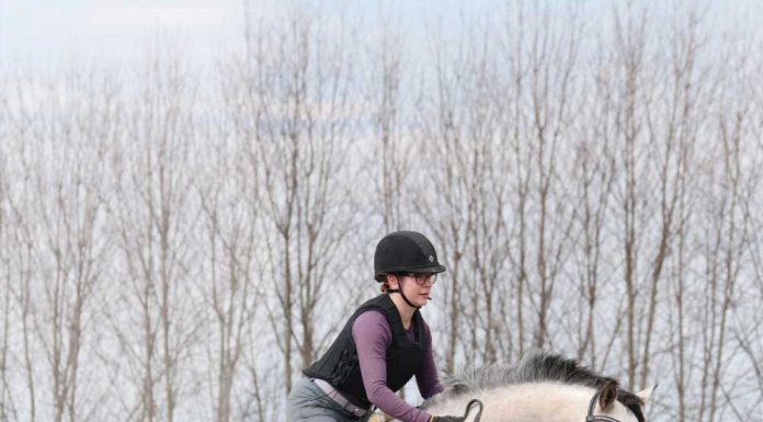Jumping over cross-country barrels