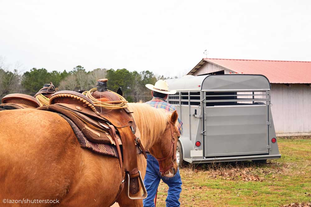 Western horses and horse trailer