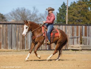 How to Wake Up a Lazy Horse