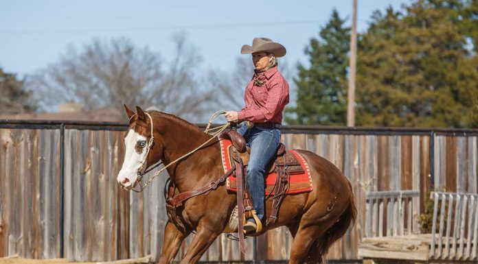 Trainer Heather Young riding a Paint Horse at the lope.