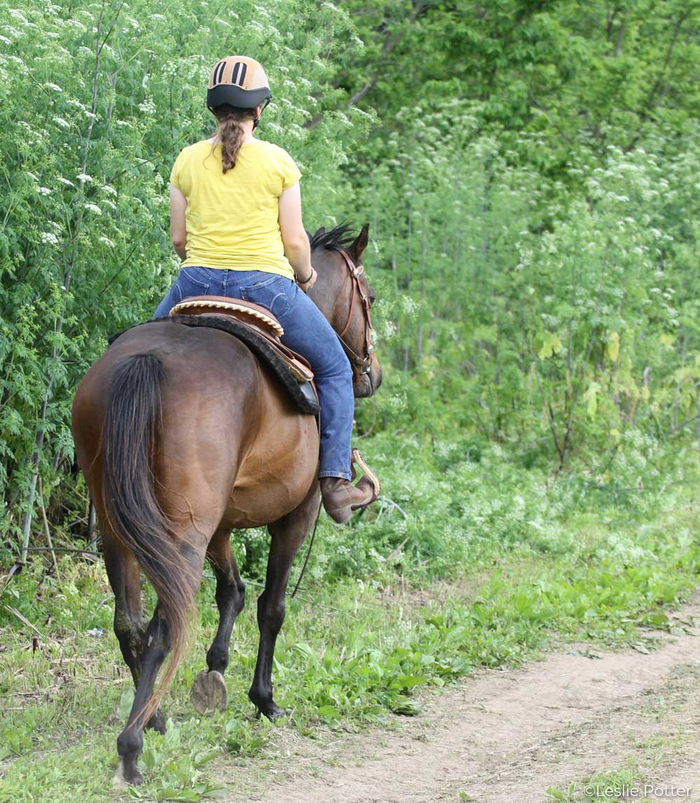 Trail ride