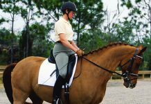 Turn on the Forehand Turn on the Forehand