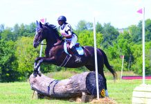 Get Started in Eventing