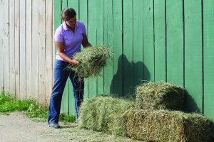 Hay Buyer’s Guide