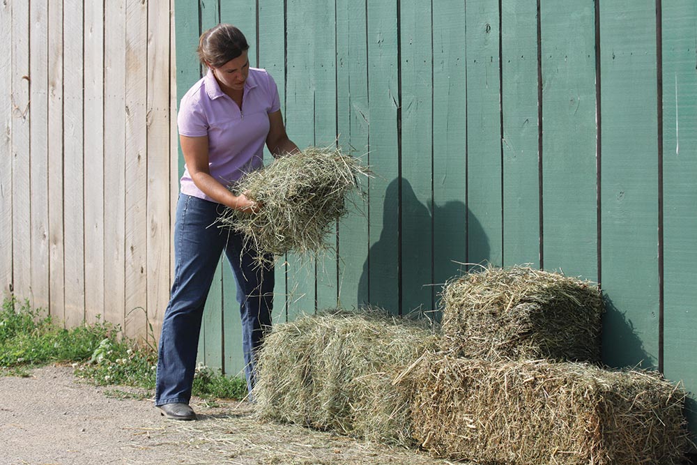 15 Creative Ways to Use Hay Bales