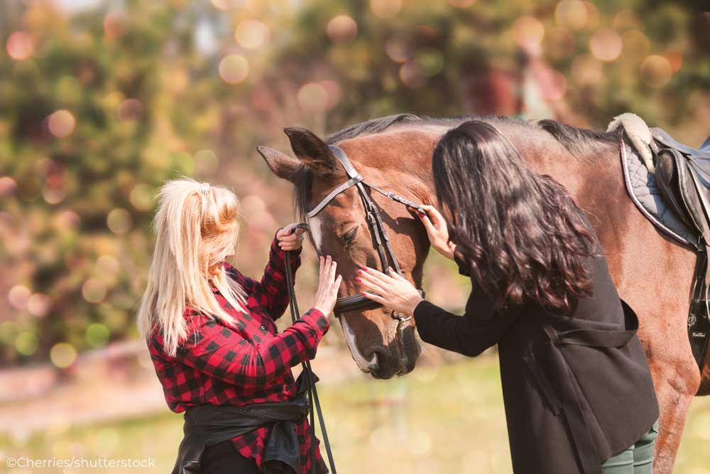 Two people adjusting the bridle on a horse