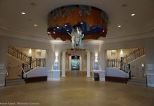 It’s Never Just a Horse Interior of the National Cowgirl Museum and Hall of Fame.