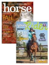 horse illustrated + young rider