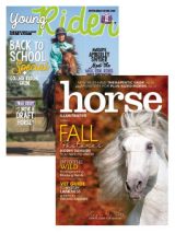 young rider+horse illustrated edition