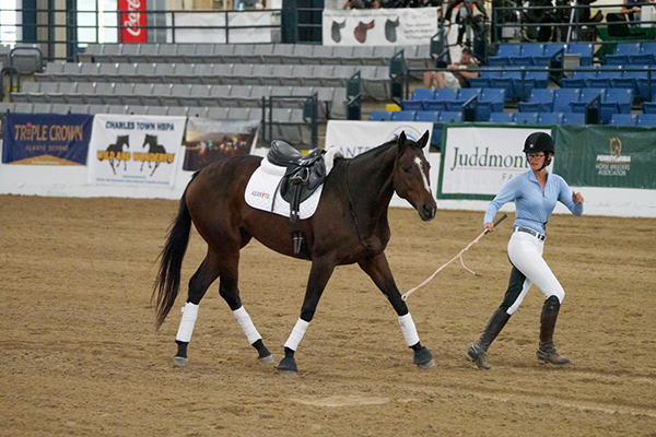 Amy Bowers and Grande Warrior