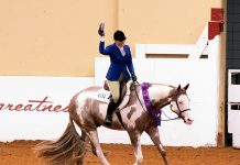 2019 APHA World Show