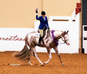 Paint Horse Exhibitors Walk Away with More Than $1 Million in Cash and Prizes at 2019 APHA World Show