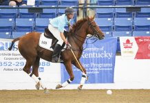 Buck Schott and Great Reward at the 2019 Thoroughbred Makeover