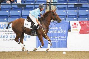 Thoroughbred Makeover 2019: Day 2