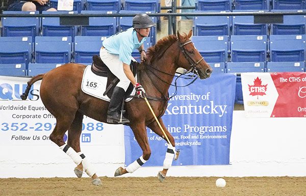 Buck Schott and Great Reward at the 2019 Thoroughbred Makeover