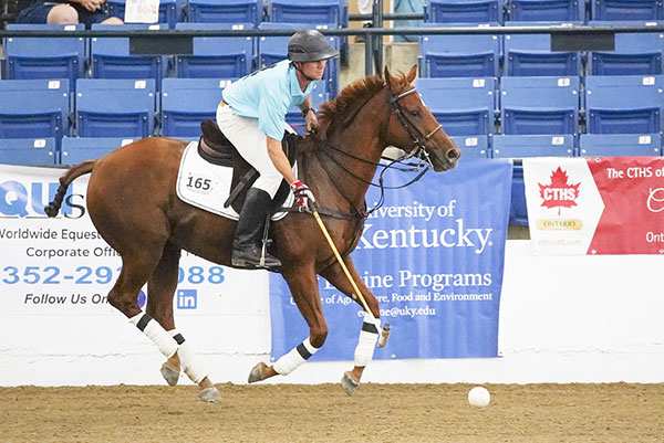 Buck Schott and Great Reward at the 2019 Thoroughbred Makeover