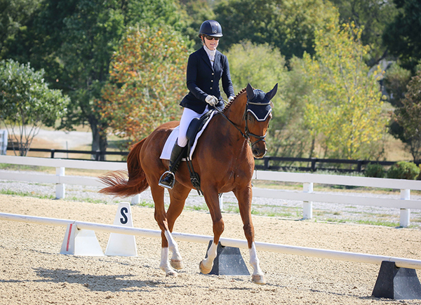 Erin Miller and O Ganador at the 2019 Thoroughbred Makeover Erin Miller and O Ganador