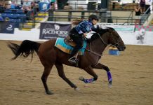 Fallon Taylor and Cowboy Swagger at the 2019 Thoroughbred Makeover
