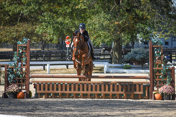 Gayle Cook and Royal Flame at the 2019 Thoroughbred Makeover Gayle Cook and Royal Flame